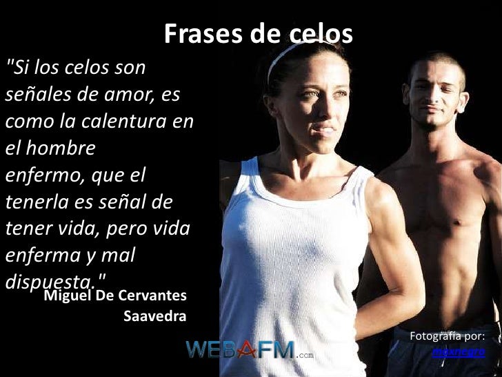 Formulario de búsqueda